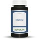 bonusan adaptonyl, 60 cápsulas| Farmacia Barata
