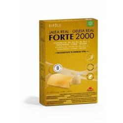 Bipole Jalea Real Forte 2000, 20 Ampollas. Disminuye el cansancio.