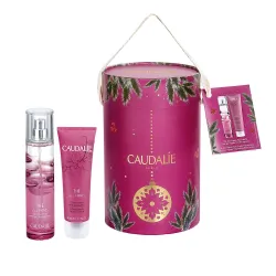 Caudalie Cofre Navidad The des Vignes