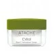 ATACHE C VITAL BLAST ANTIOXIDANT 50ML CREMA