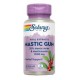Solaray Mastic Gum 500 mg - 45 vegcaps
