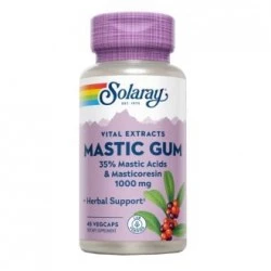 Solaray Mastic Gum 500 mg - 45 vegcaps