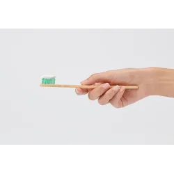 YOTUEL DENTIFRICO EROSION DIENTES Y ENCIAS PARA EL MICROBIOMA 1 TUBO 100 G