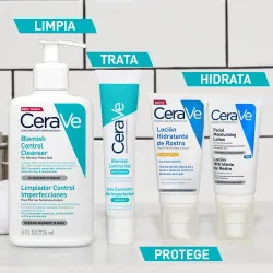 CERAVE GEL CONTROL IMPERFECCIONES 1 TUBO 40 ML CERAVE GEL CONTROL IMPERFECCIONES 1 TUBO 40 ML