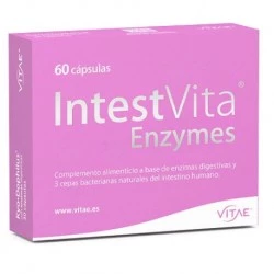 INTESTVITA ENZYMES 60 CAPSULAS