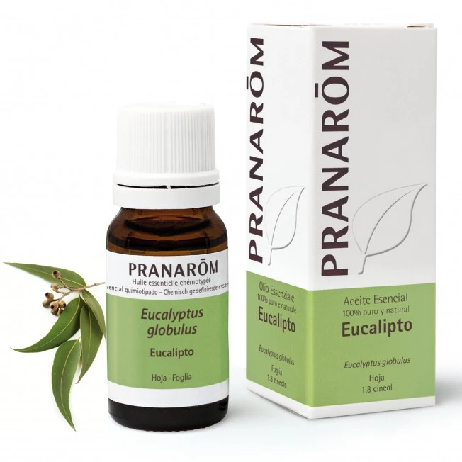 Pranarom Aceite Eucalipto, 10ml.