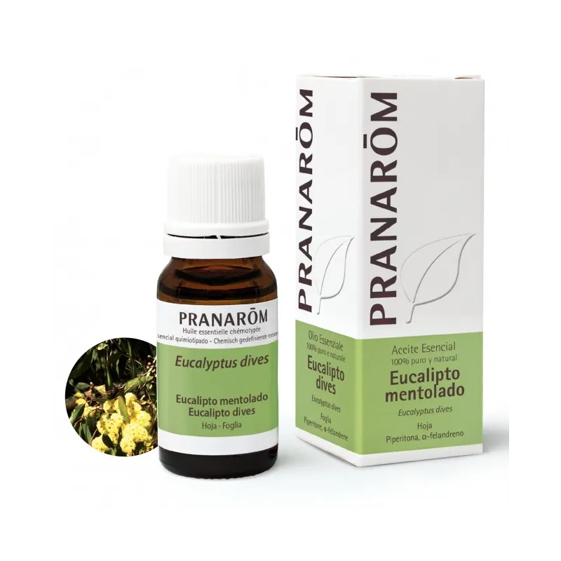 Pranarom Aceite Esencial Eucalipto Mentol, 10ml.