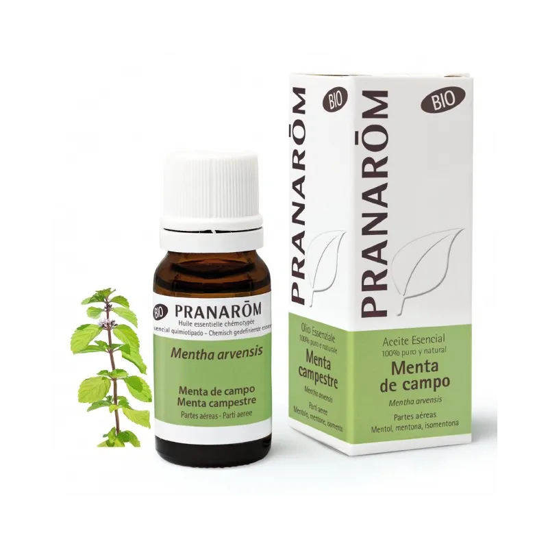Pranarom Bio Aceite Menta de Campo, 10ml.