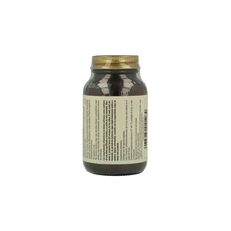 Solgar SPF Jengibre 60 Cápsulas | Farmacia Barata