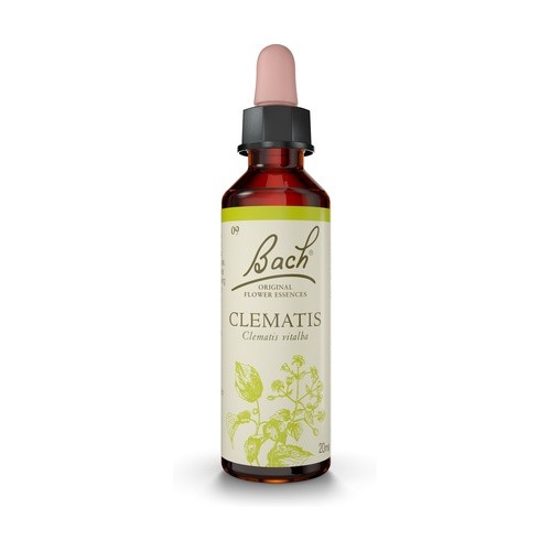 Flor de Bach Clematis 20 ml