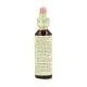 Flor de Bach Gentian 20 ml