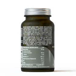 Hifas da Terra Mico-Leo (Melena de León) | Farmacia Barata Hifas da Terra Mico-Leo (Melena de León) | Farmacia Barata