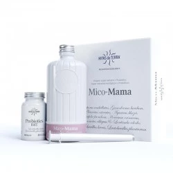 Hifas da Terra Mico-Mama