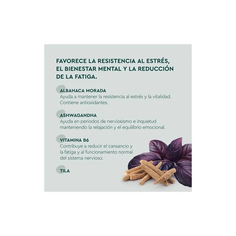 Kneipp Estrés gummies beneficios