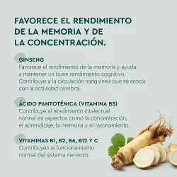 Kneipp Memoria gummies beneficios Kneipp Memoria gummies beneficios