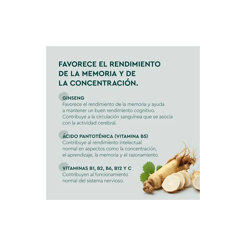 Kneipp Memoria gummies beneficios Kneipp Memoria gummies beneficios