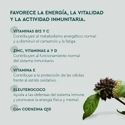 Kneipp Multivitaminas gummies beneficios Kneipp Multivitaminas gummies beneficios