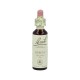 Flor de Bach Beech 20ml