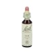 Flor de Bach ELM 20 ml