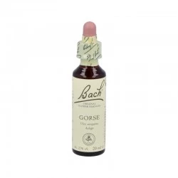 Flor de Bach Gorse 20 ml