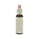 Flor de Bach Gorse 20 ml