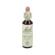 Flores de bach Impatiens 20 ml