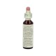 Flores de Bach Wild Oat 20ml