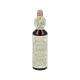 Flor de bach cherry plum