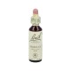 Flores de bach mimulus 20ml