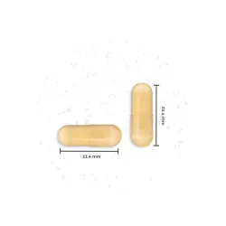 Nutralie colágeno marino con ácido hialurónico y Q10 capsulas Nutralie colágeno marino con ácido hialurónico y Q10 capsulas