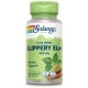 Solaray Slippery Elm Bark (Olmo) 100vcaps