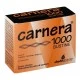 Carnera 1000, 18 sobres