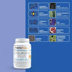 Colagen Plus Rejuven Age | Farmacia Barata Colagen Plus Rejuven Age | Farmacia Barata
