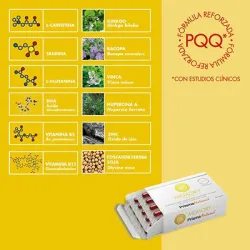 Prisma Natural Memory Level 30 cápsulas | Farmacia Barata