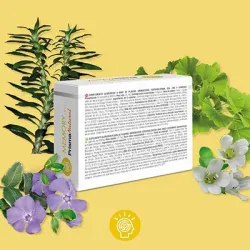 Prisma Natural Memory Level 30 cápsulas | Farmacia Barata