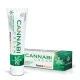 Prisma Natural Cannabi Cream, 60 ml