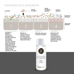 Prisma Natural Carbón Probiótico 90 Caps 550mg_03 Prisma Natural Carbón Probiótico 90 Caps 550mg_03