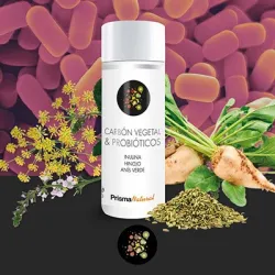 Prisma Natural Carbón Probiótico 90 Caps 550mg_05 Prisma Natural Carbón Probiótico 90 Caps 550mg_05