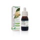 Soria Natural Extracto Boldo, 50ml.