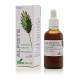Soria Natural Extracto Alpiste, siglo XXI, 50 ml.
