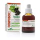 Soria Natural Composor 23 Hyssopus XXI, 60 ml.