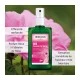 Weleda Desodorante Rosa, 100ml