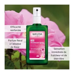 weleda desodorante rosa 100ml weleda desodorante rosa 100ml