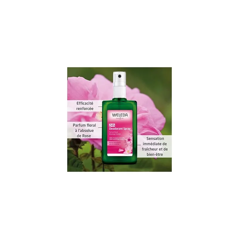 weleda desodorante rosa 100ml weleda desodorante rosa 100ml