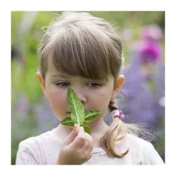 weleda champu menta fresca 150ml