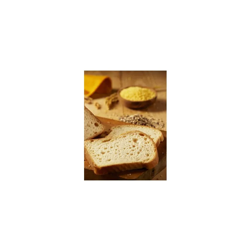 Pan Classic Maestro Panetterie 300g | Farmacia Barata