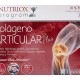 Ynsadiet Colágeno Articular Plus, 20 sobres.