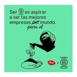 Matcha en polvo Bio Granero 100g | Farmacia Barata