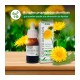 Soria Natural Extracto Diente de León, 50ml.