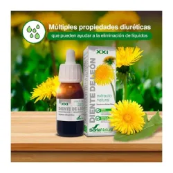 Extracto de Diente de León 50ml | Farmacia Barata Extracto de Diente de León 50ml | Farmacia Barata